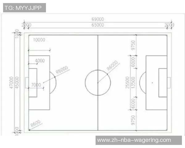 足球禁区的标准尺寸解析及其对比赛的影响探讨